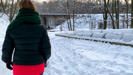 Rückansicht-Einer-Frau,-Die-Im-Winter-Bei-Starkem-Schneefall-Mit-Einem-Hund-Spazieren-Geht---Mittlere-Aufnahme