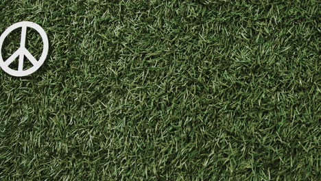 Close-up-of-white-peace-sign-with-copy-space-on-grass-background