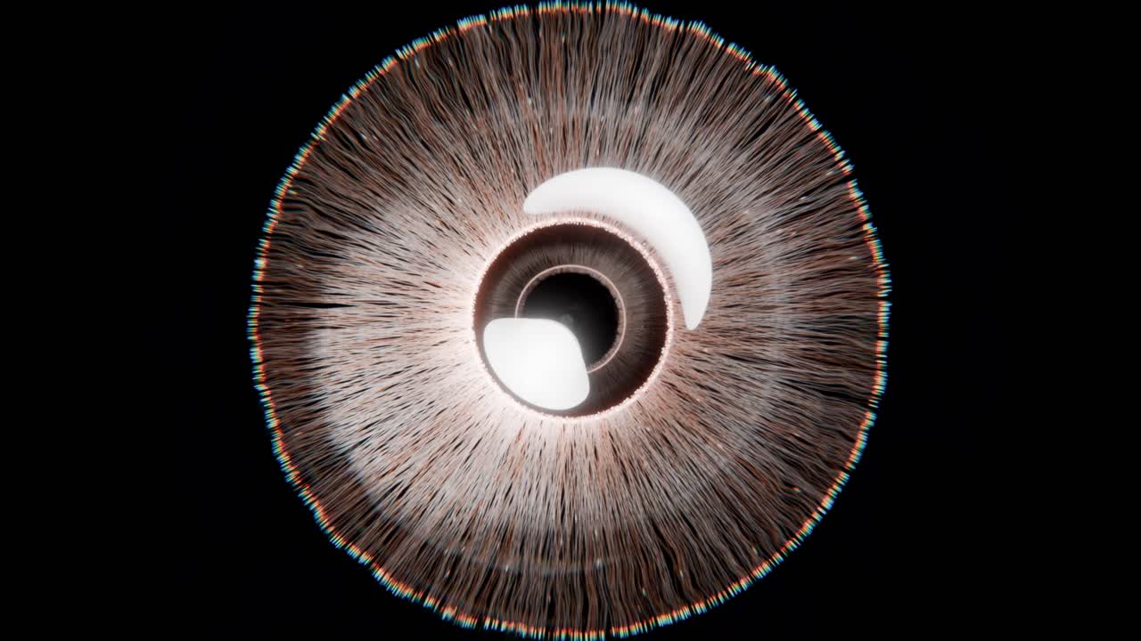 Macro View of a Human Eye