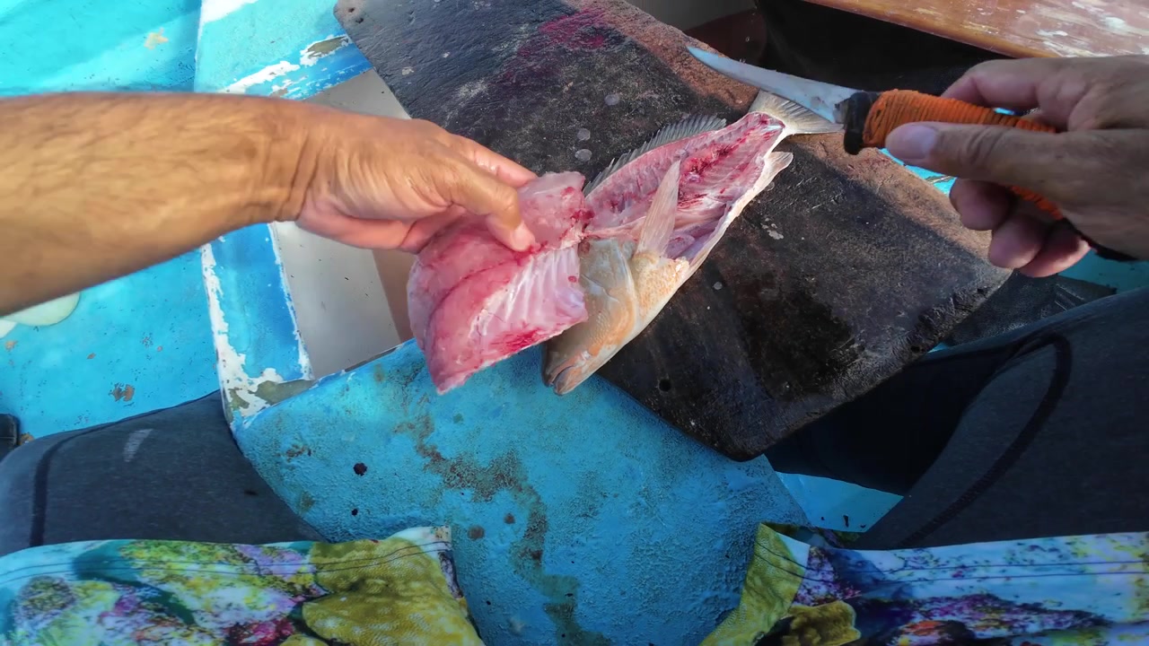 POV mani di un uomo che sfiletta pesce appena pescato su una barca