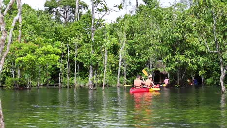 two kayakers navigate a lush, serene waterway