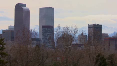 the denver colorado skyline in beautiful light with bikers and joggers passing