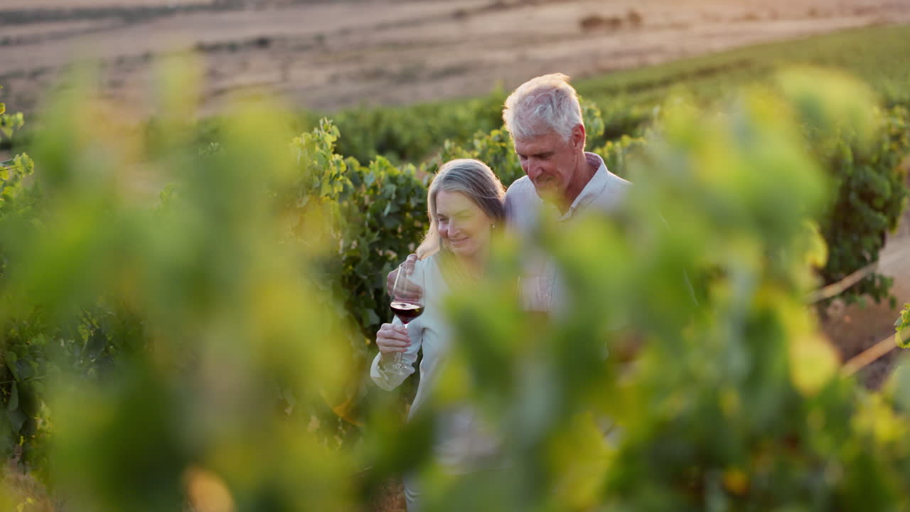 은 부부 가 해 가 지는 동안 포도원 에서 포도주 를 마시고 있다