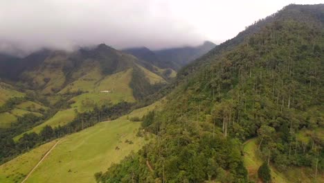 Montañas-Tropicales-Cubiertas-De-Nubes.-Paisaje-Del-Valle-De-Cocora