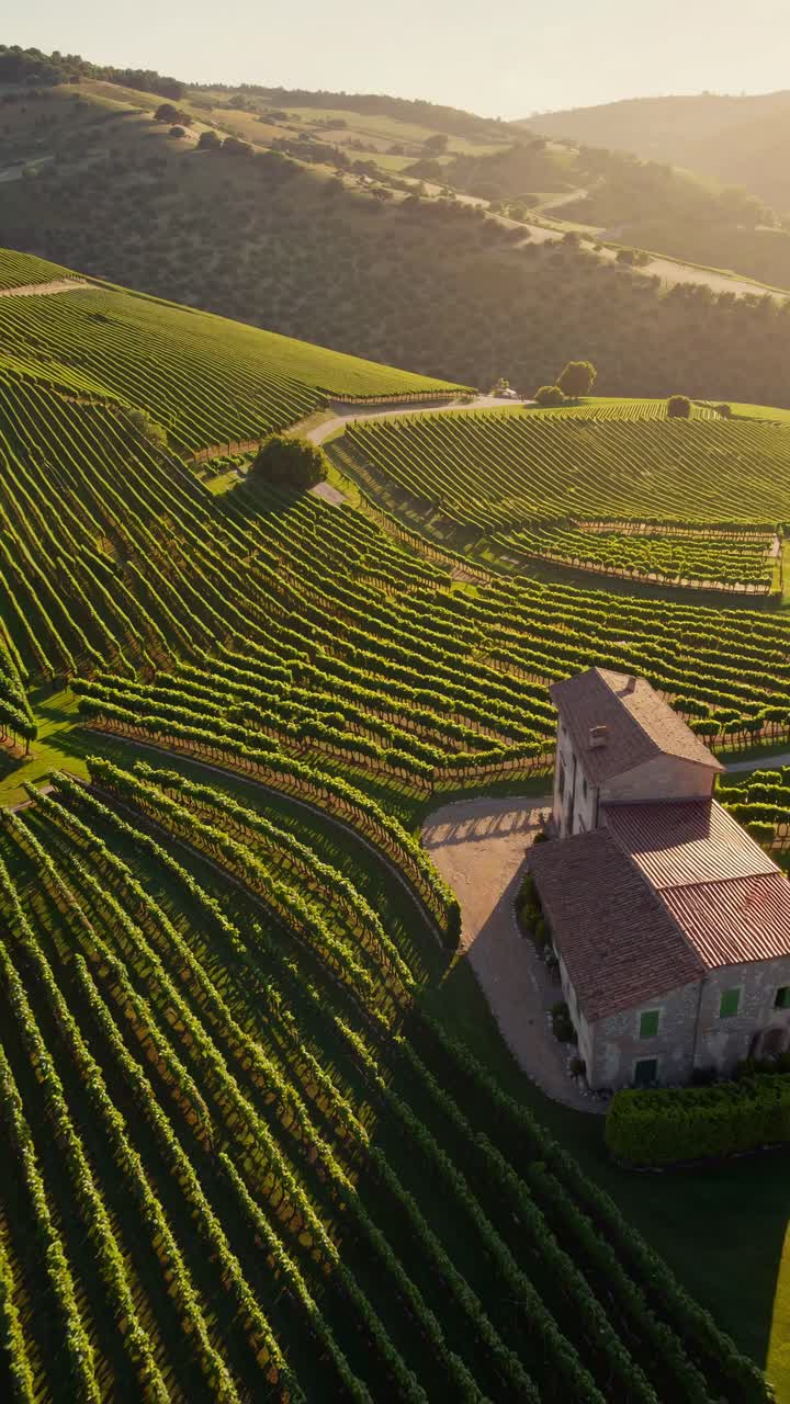 Video aereo riprende un casale rustico tra vigneti lussureggianti e verdi su dolci colline.