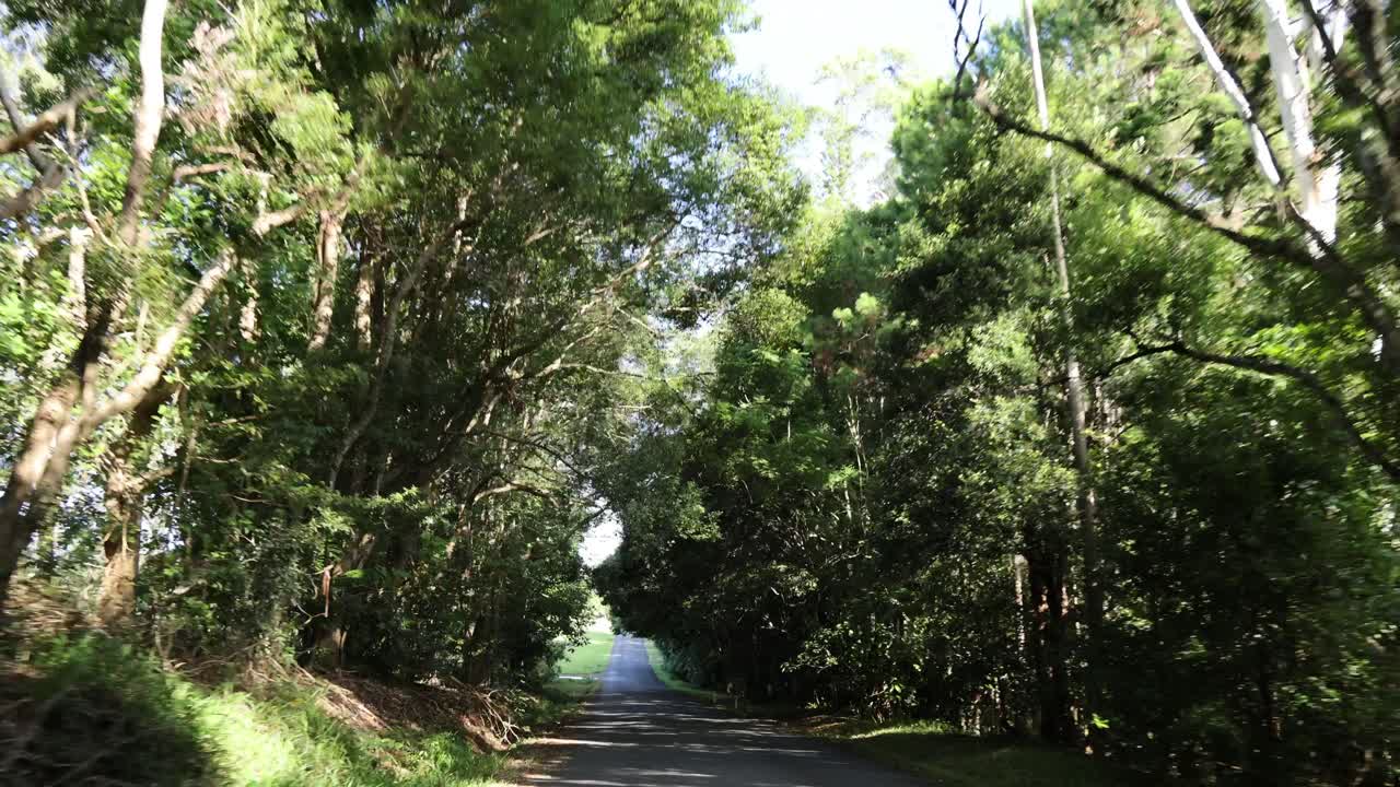 한 숲에서 열린 으로 여행하는 것