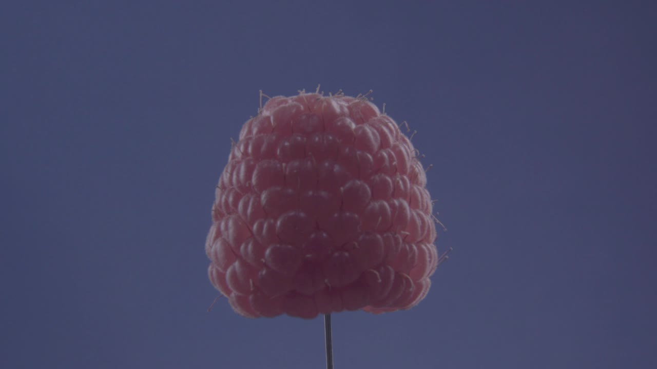 frambuesa girando con bucle en pantalla azul para la llave de croma