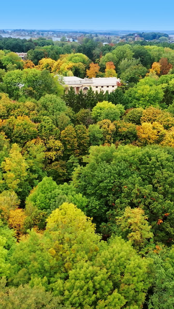 Autumn Palace in Park