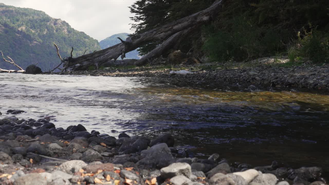 Low-angle static video of the Malleo River flowing from Lake Tromen in Lanín National Park, Northern Patagonia, Argentina