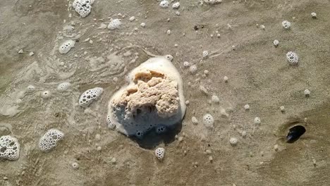 dirty sea foam froth slowly moving across sandy welsh beach with tide waves