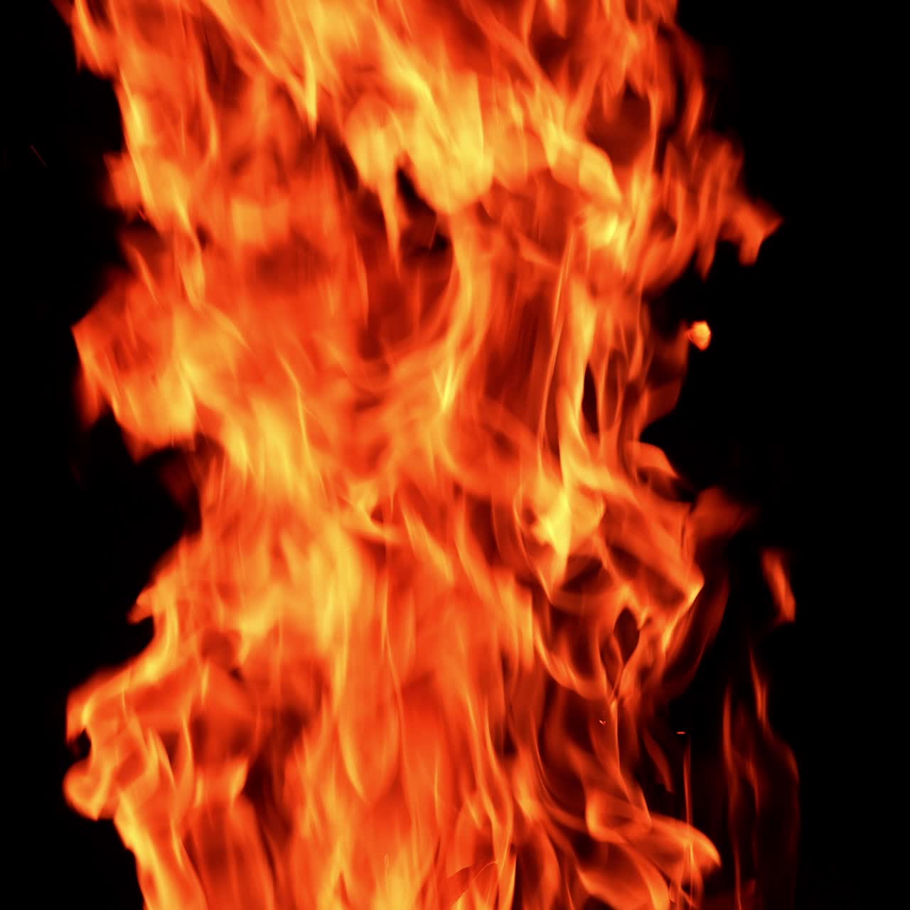 Røde flammer fra et lejrbål, der stiger højt op. Ild, der brænder isoleret på den sorte baggrund.