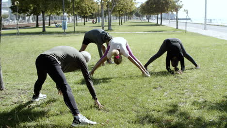 elder men and women doing stretching exercises at the park