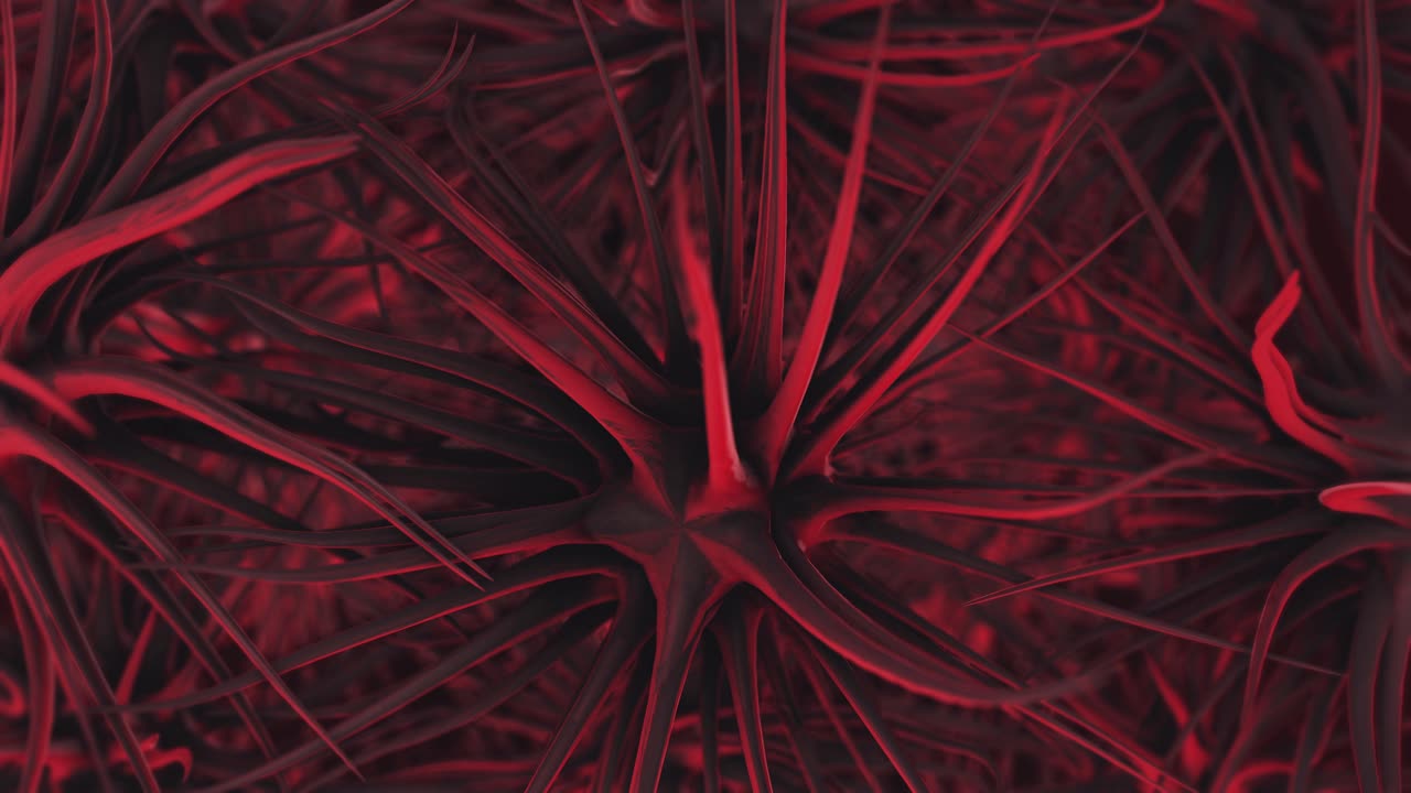 estructuras biológicas abstractas