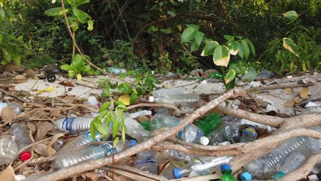 incontables cantidades de botellas de plástico desechadas a lo largo del tiempo detrás de un hotel en las islas andaman en india