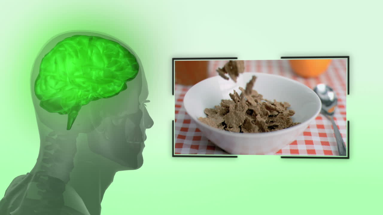 건강한 생활 방식