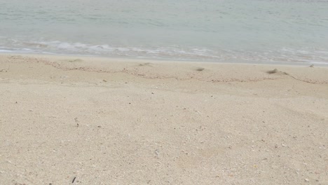 close-up of sandy beach with soft waves in pretty bay, birzebbuga, malta 4k