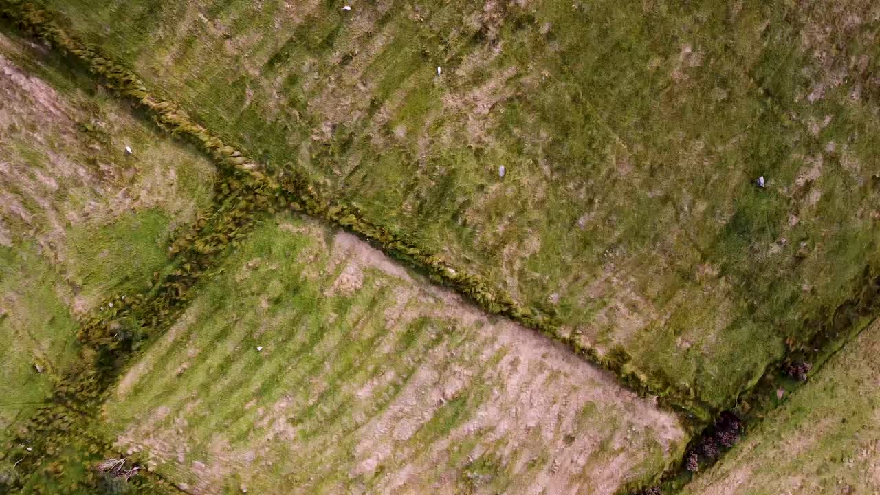 Birdseye view of different fields in Northern Ireland with a forward track. During Summer