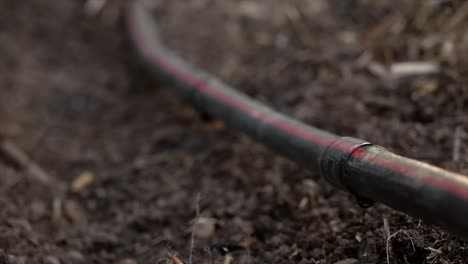 water efficient drip irrigation watering crops