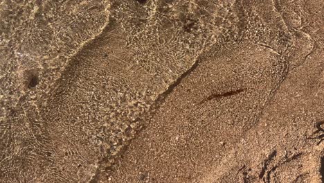 close-up of transparent water gently washing over fine sandy beach, creating delicate ripples in crete, greece