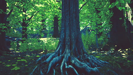 close-up of a tree trunk in a forest