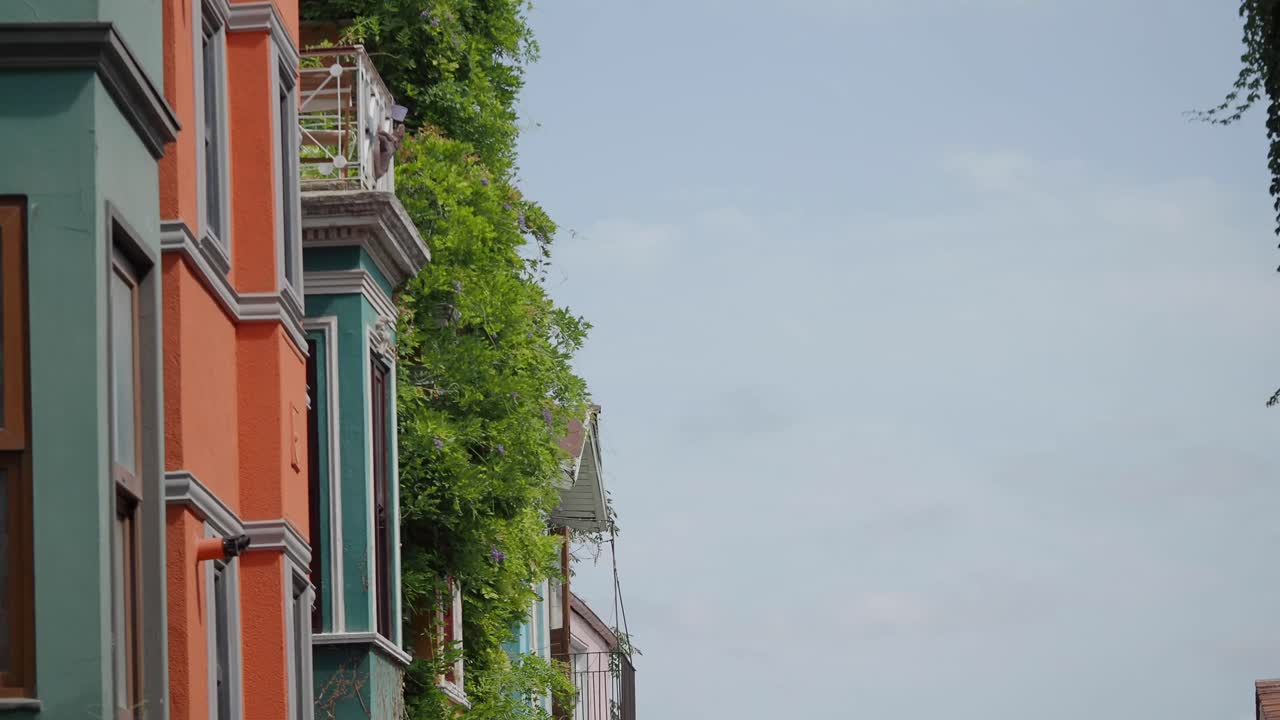 Colorful Buildings with Lush Greenery