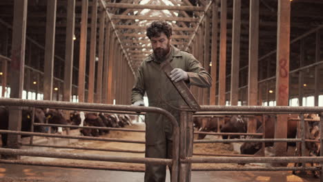 farmer walking through gate in cowshed