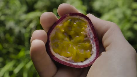 fruta de la pasión fresca mitad sostenida por manos caucásicas mirando la fruta