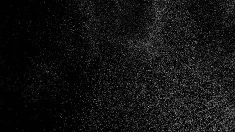 abstract digital animation white noise on black background.