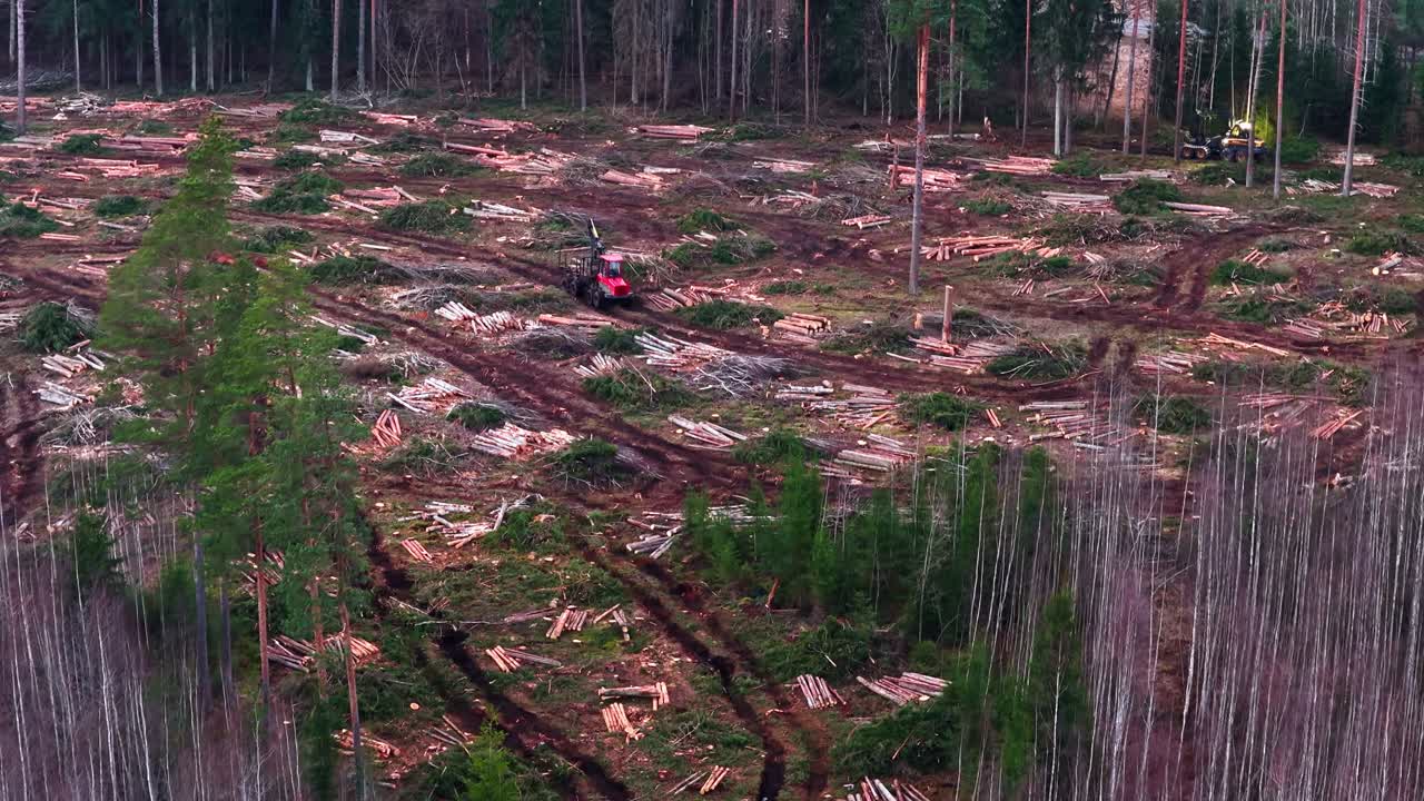 Logging operation clearcutting a forest, showing forest destruction and wood harvesting