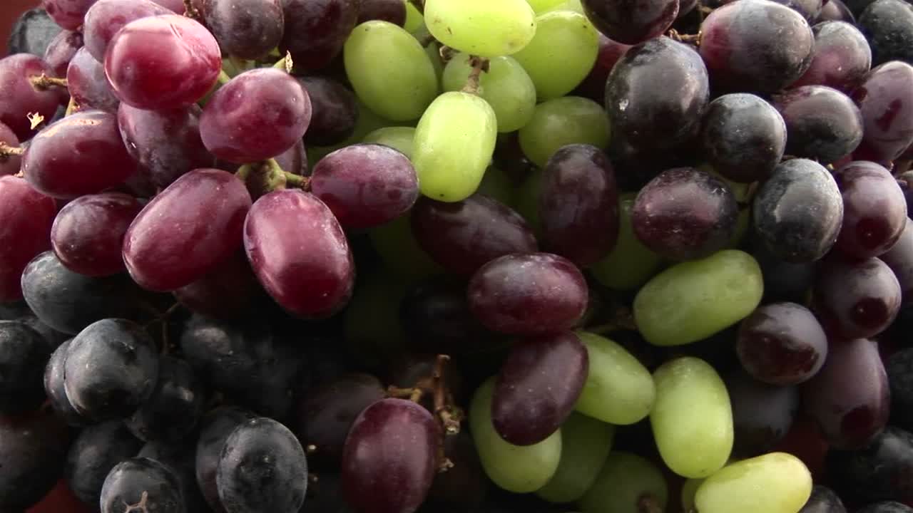 zoom lento en uvas rojas y verdes moradas sentadas en un racimo