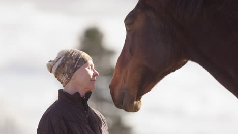 therapeutic interaction between woman and horse during equine-assisted learning