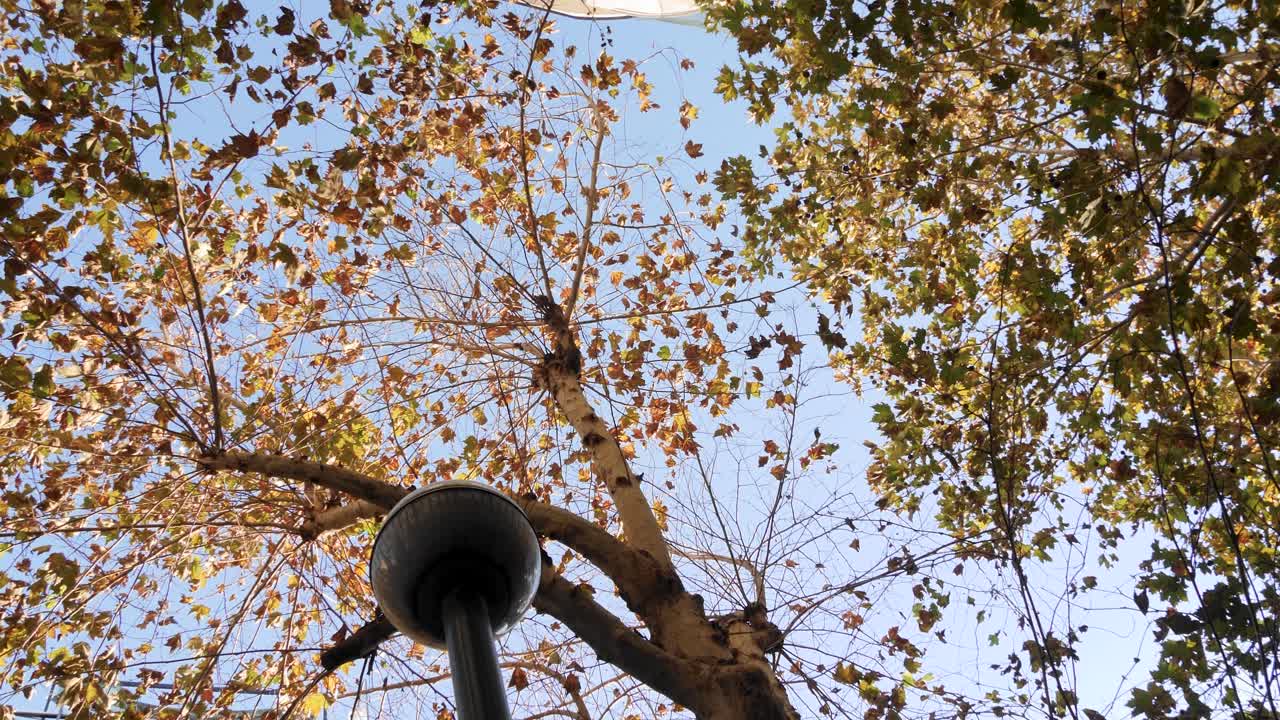 나폴리, 이탈리아의 황금 가을