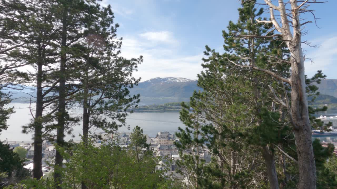 Pemandangan panorama Alesund, Norwegia, dibingkai oleh pohon pinus tinggi, menyingkap fjord yang menakjubkan, kota tepi laut bersejarah, dan pegunungan bersalju di bawah langit biru cerah