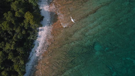 Escénica-Y-Hermosa-Vista-De-Pájaro-Croacia-Costa-De-Istria-Con-Agua-Azul-Clara-Junto-Al-Mar-En-La-Bahía-De-La-Costa-De-La-Playa-Natural-En-Bosques-Y-Pinos