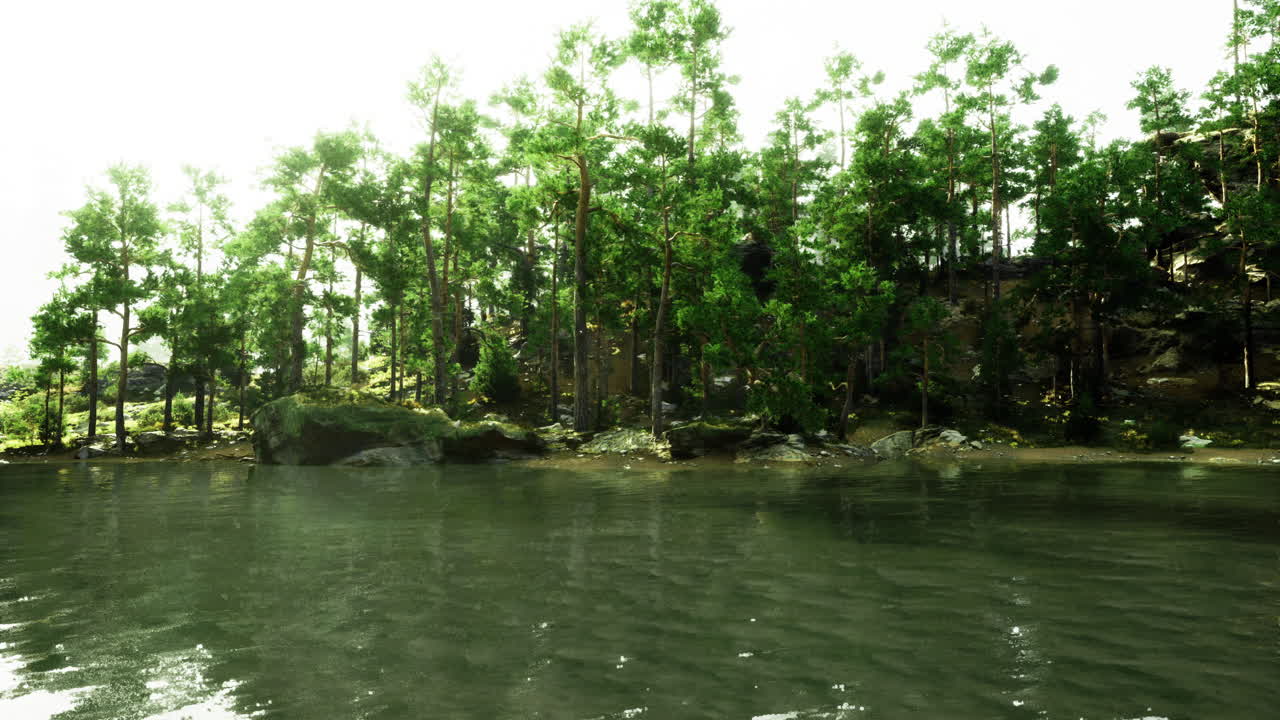 Serene lake surrounded by lush trees on a bright sunny day