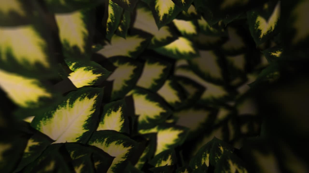 Enchanted Foliage Tunnel – Looping Background