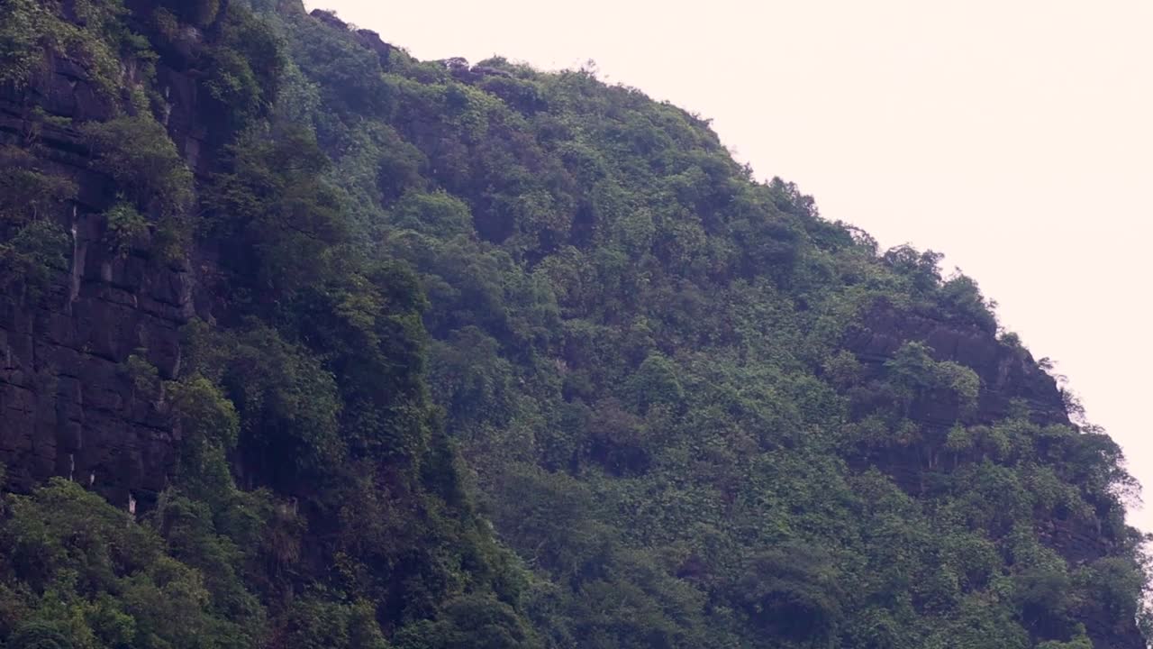 Close-up view of verdant cliffs covered in dense greenery, showcasing natural beauty and tranquility.