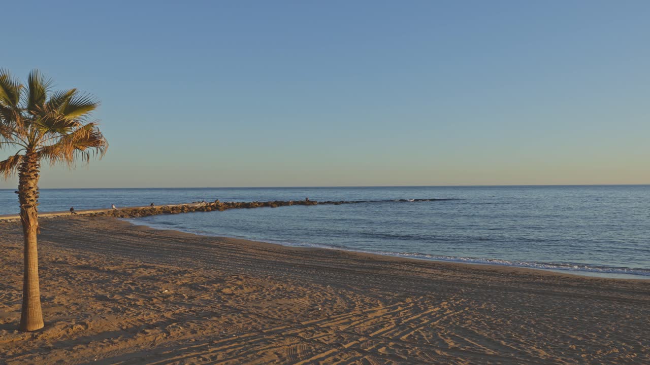 Costa del Sol, güney İspanya, Marbella sahilindeki palmiye ağaçları gün batımı ışığıyla yıkanıyor; sakin dalgalar ve masmavi gökyüzü huzurlu bir sahne yaratıyor.