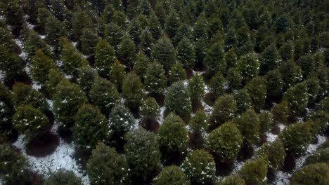 aerial flyover nc christmas tree farm