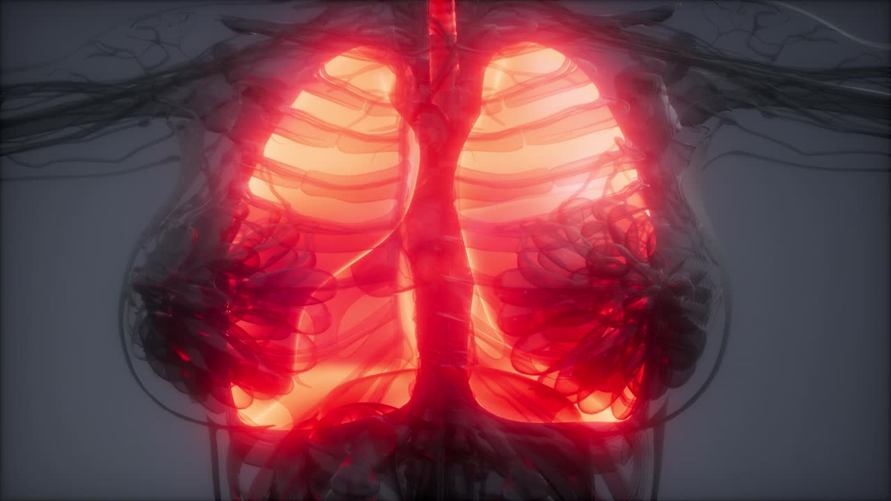 examen radiológico de los pulmones humanos