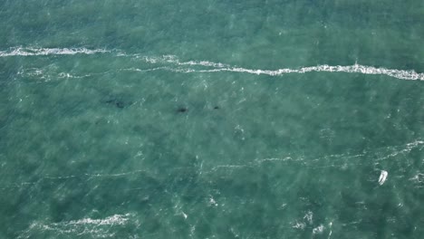 aerial-view-of-ocean-waves