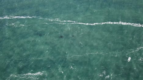 aerial view of ocean waves
