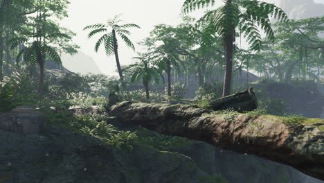 camino en la jungla de malasia