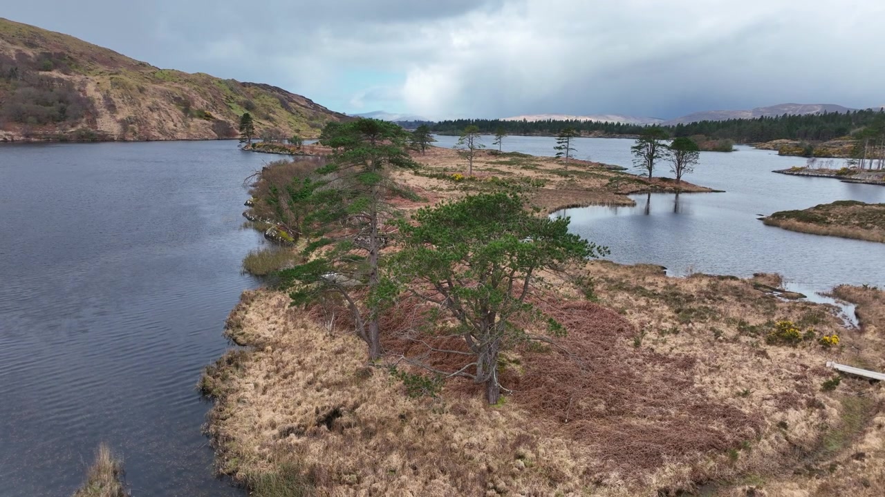 Epici paesaggi montani irlandesi, vista drone di alberi su un'isola montuosa in un lago nel Kerry, natura remota.