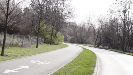 curving bike path through a park