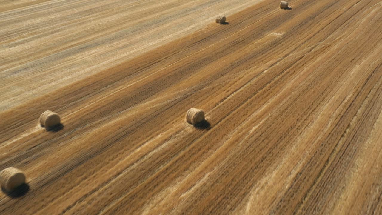 balas redondas en el campo vista aérea