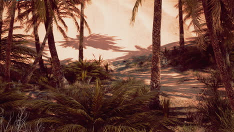 un oasis de palmeras en el desierto