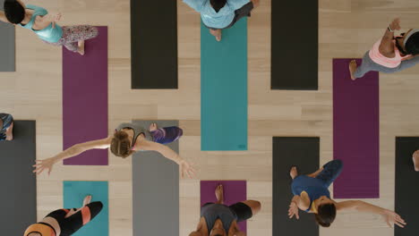 top-view-yoga-class-of-young-healthy-people-practicing-tree-pose-stretching-enjoying-fitness-lifestyle-exercising-in-studio