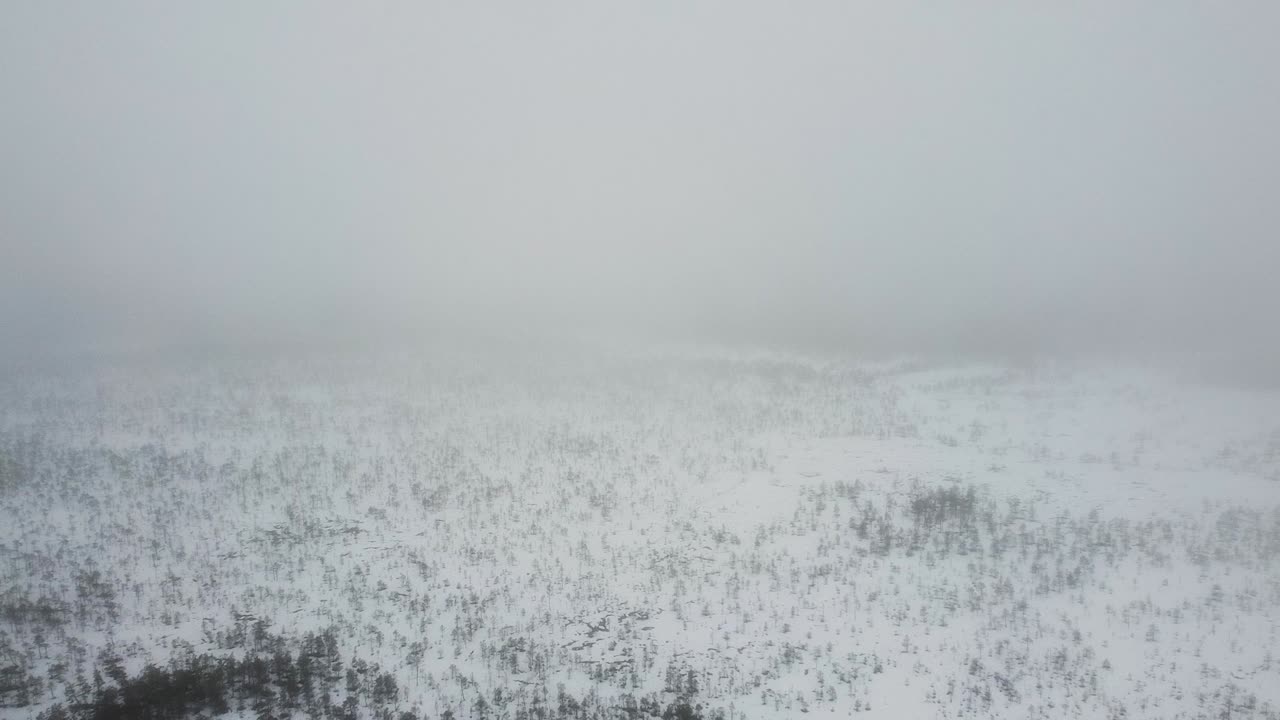 drone aéreo volando a través de una espesa niebla y nubes sobre el pantano de meenikunno en estonia durante la mañana de invierno