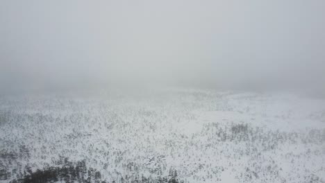 aerial drone flying through thick fog and clouds above meenikunno bog in estonia during winter morning